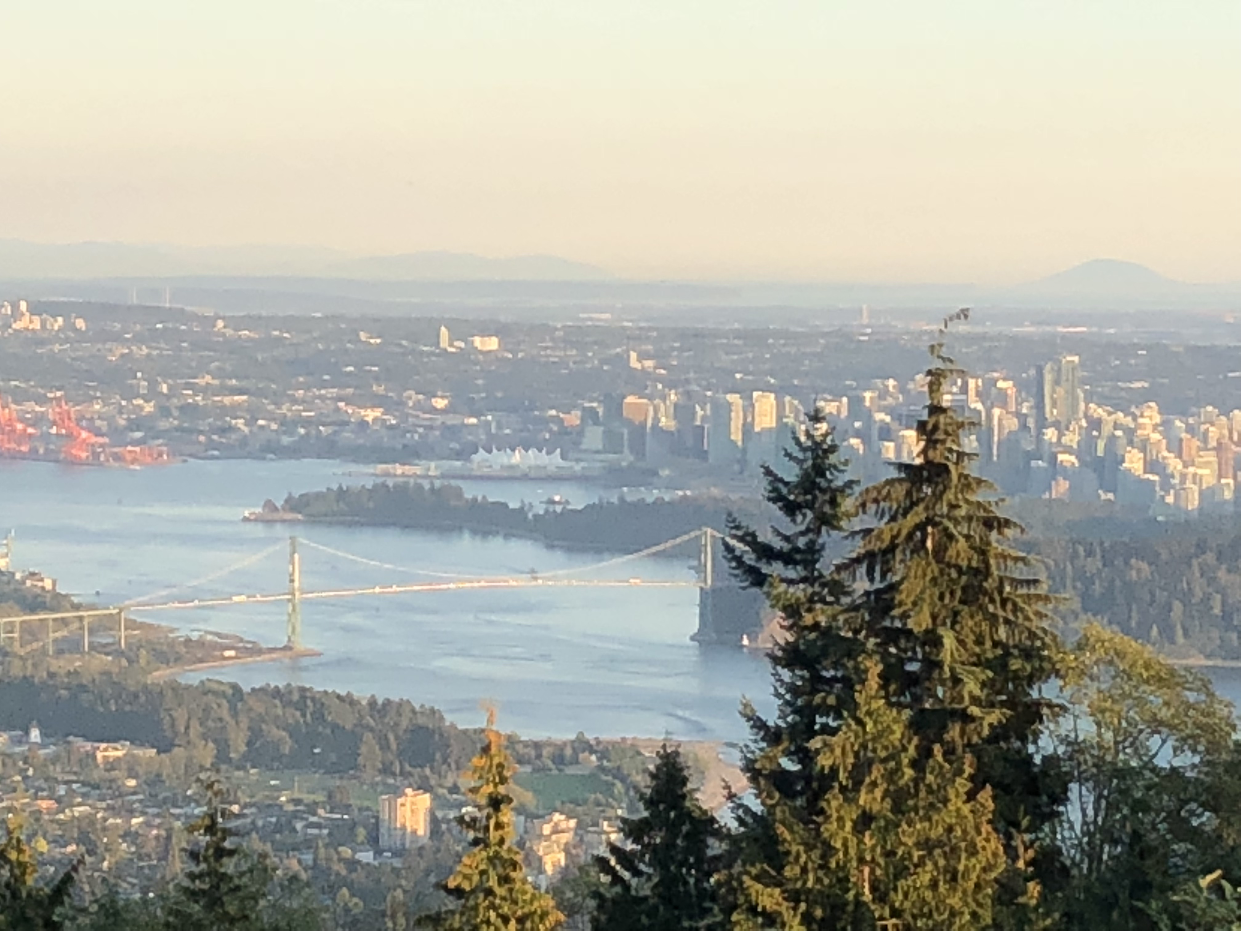 kd7l5LMjS5ufY3iRYQ4TGA